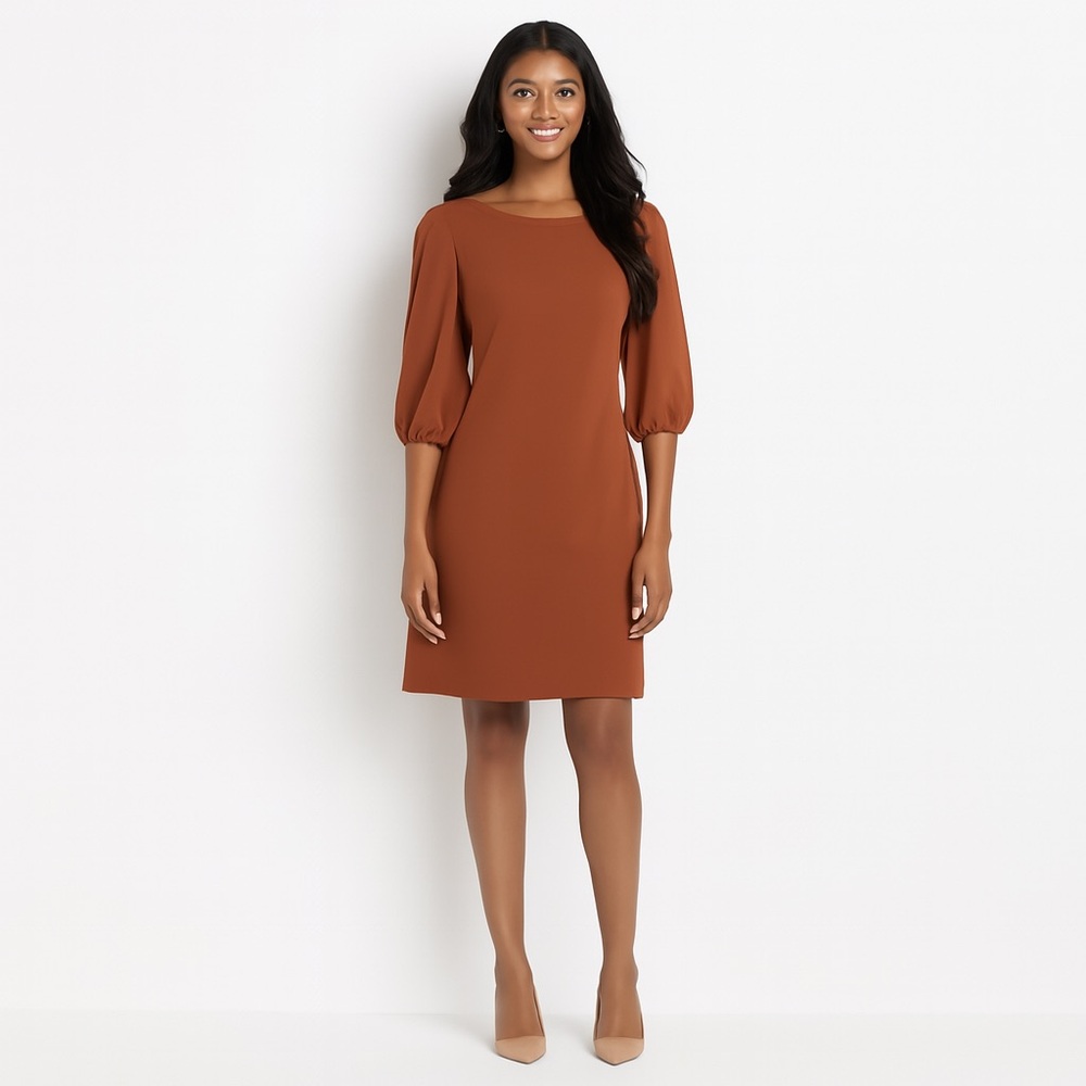 Preston & York Rust Burgundy Puff Sleeve Midi Dress Size 6